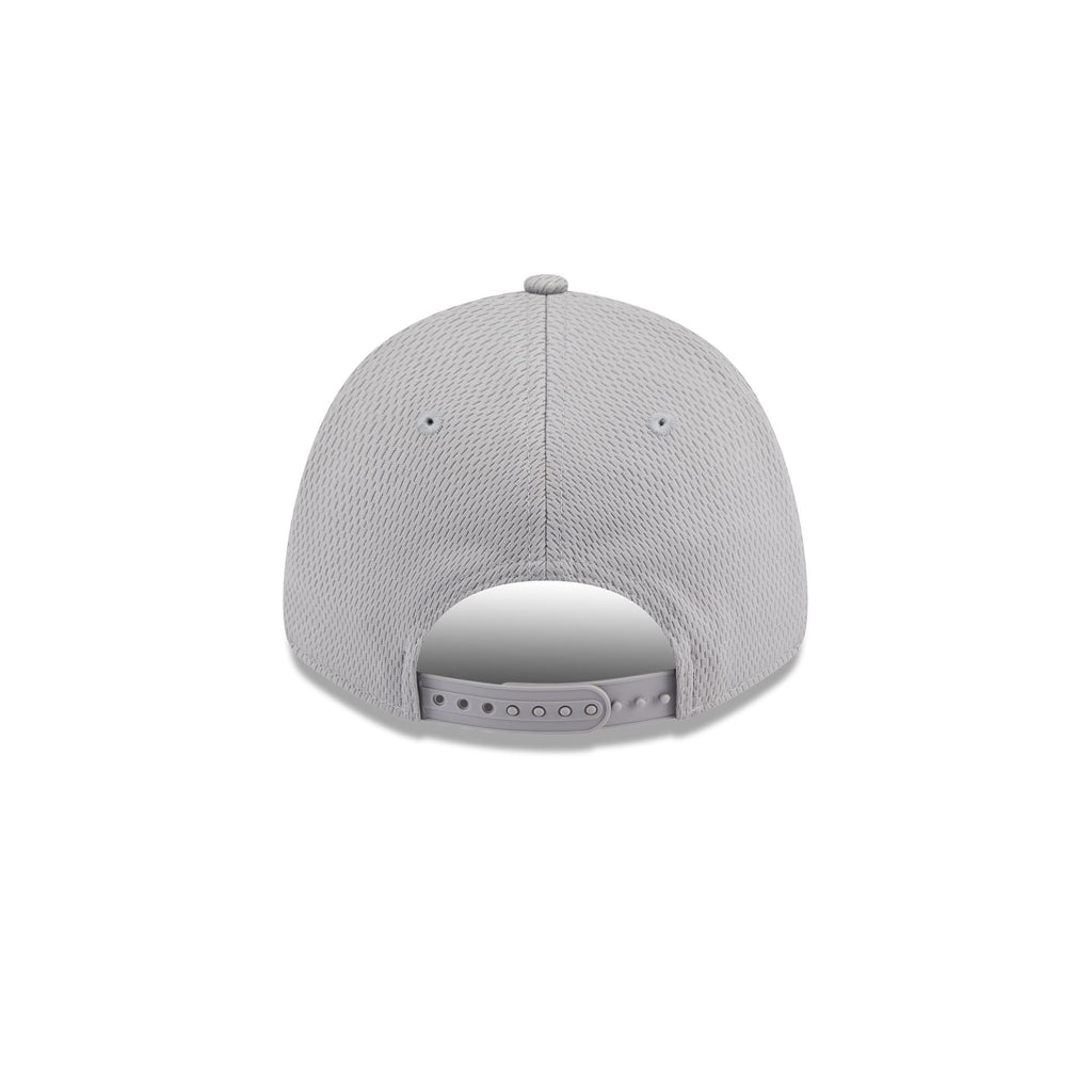 Los Angeles Lakers Gray 9FORTY Stretch-Snap Hat