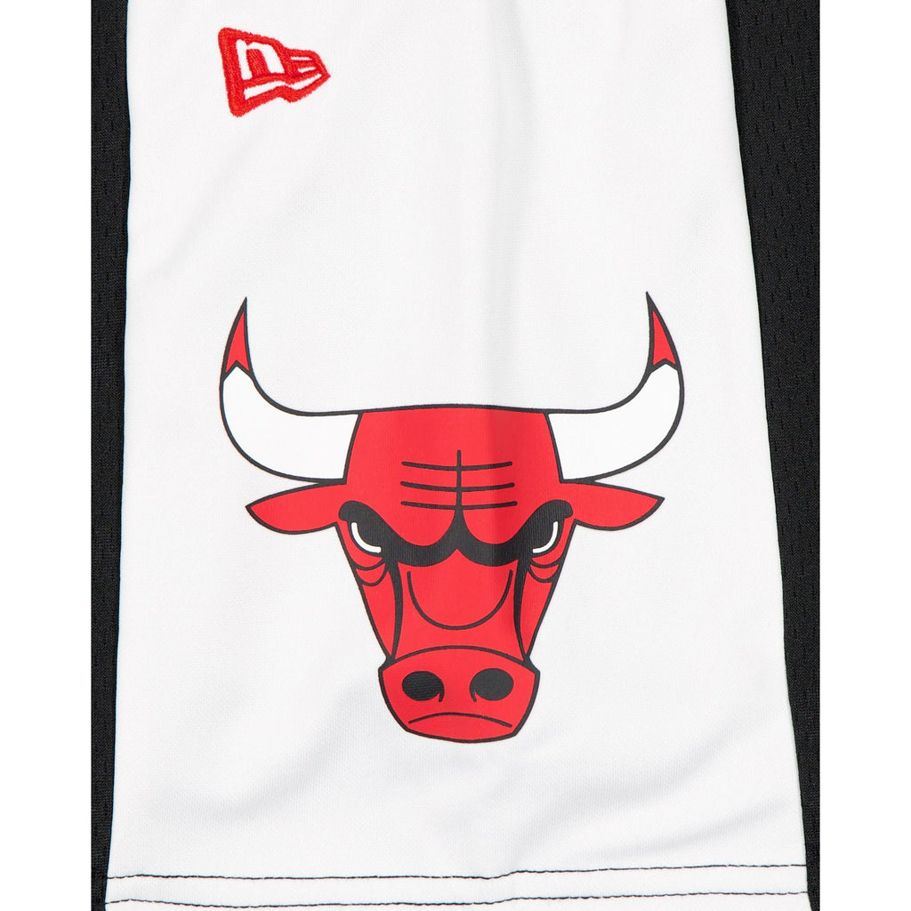 Chicago Bulls Black Graphic Mesh Shorts
