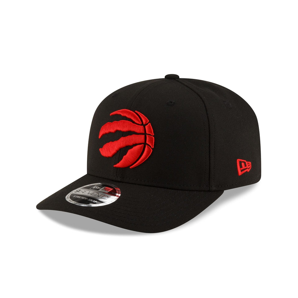 Toronto Raptors Team 9SEVENTY Stretch-Snap Hat