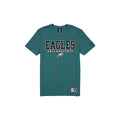 Philadelphia Eagles Throwback Pinstripe Varsity T-Shirt